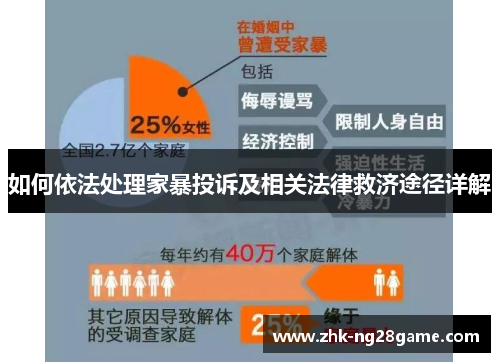 如何依法处理家暴投诉及相关法律救济途径详解