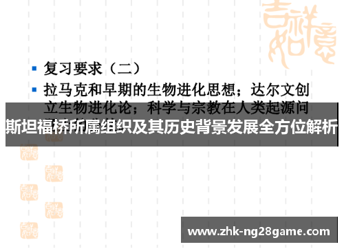 斯坦福桥所属组织及其历史背景发展全方位解析